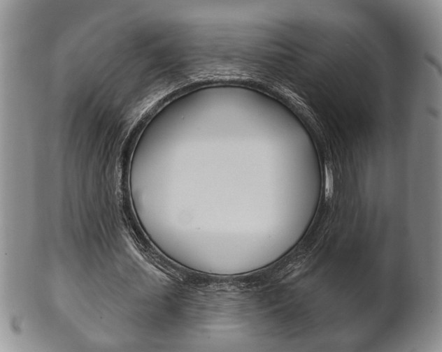 X0000102500627200808080945