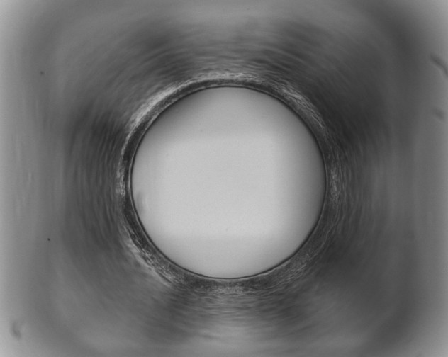 X0000102500628200808080945