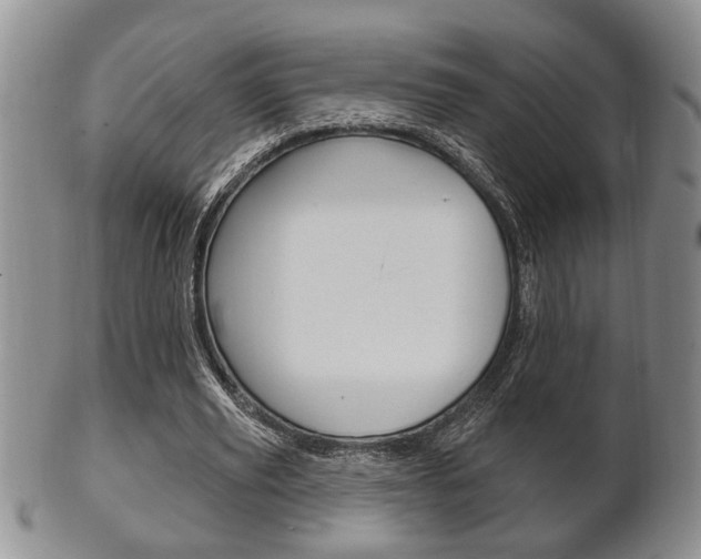 X0000102500629200808080945