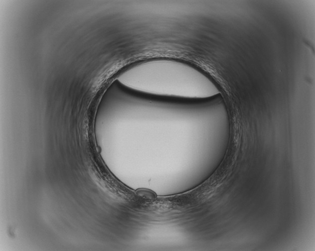 X0000102500631200808080945