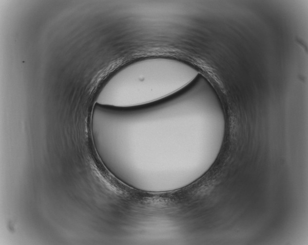 X0000102500633200808080945