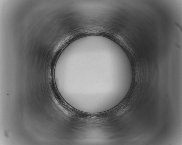 X0000102500634200808080945