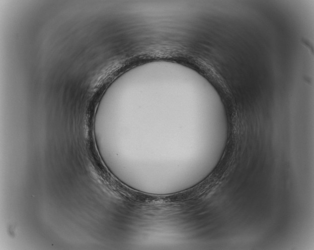 X0000102500635200808080945