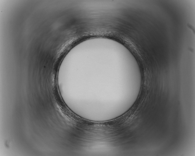 X0000102500636200808080945