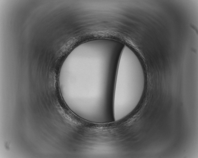 X0000102500637200808080945