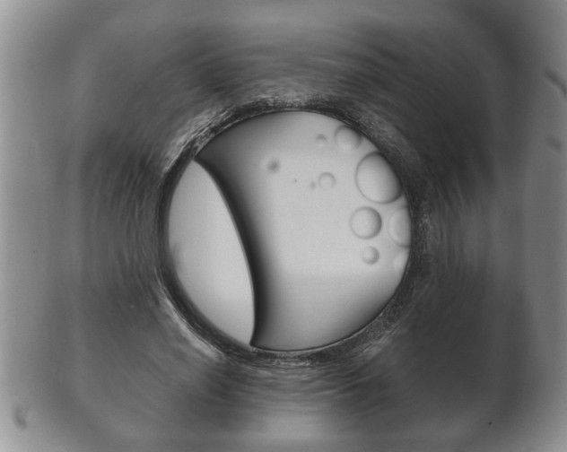 X0000102500638200808080945