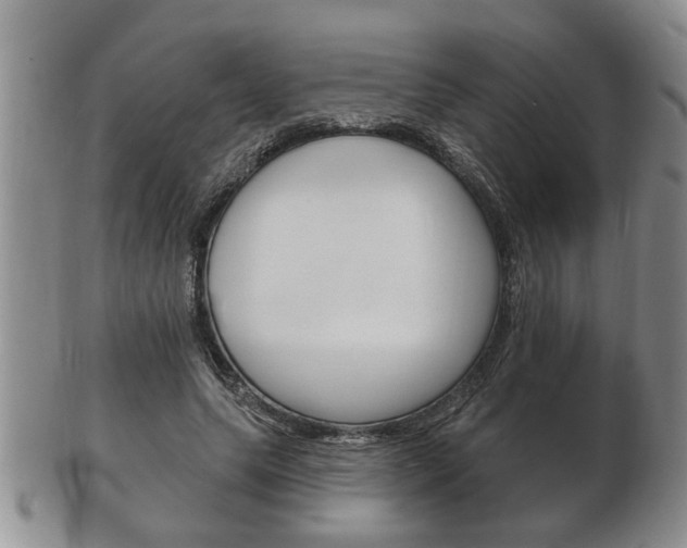 X0000102500639200808080946