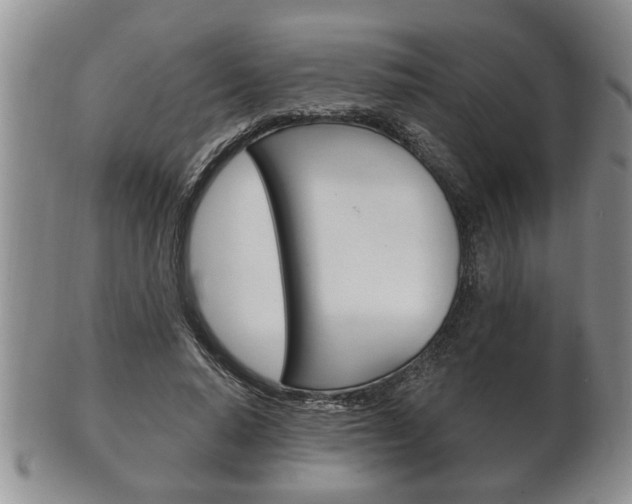 X0000102500640200808080946