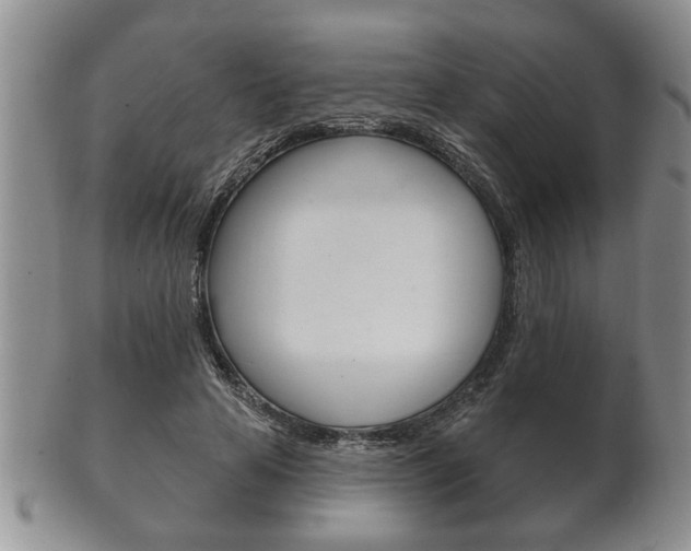 X0000102500641200808080946