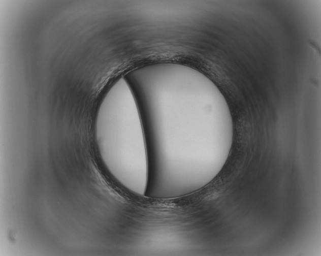 X0000102500642200808080946