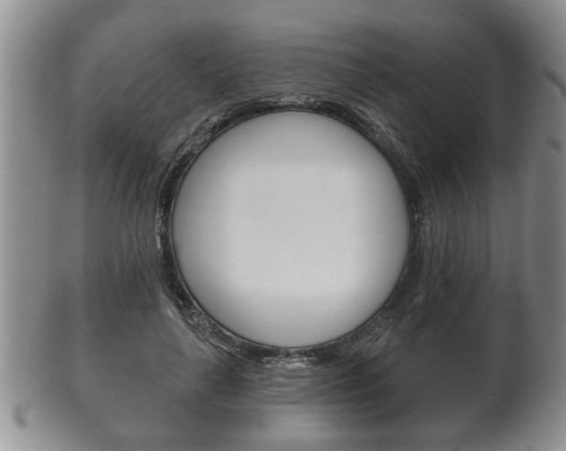 X0000102500643200808080946