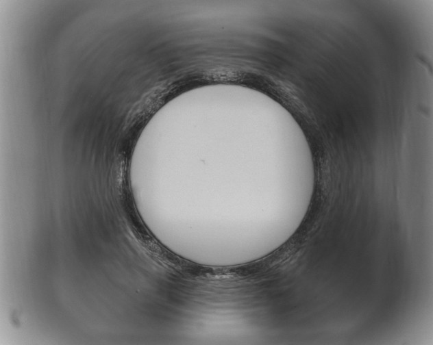 X0000102500645200808080946