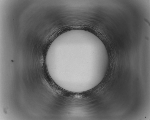 X0000102500647200808080946