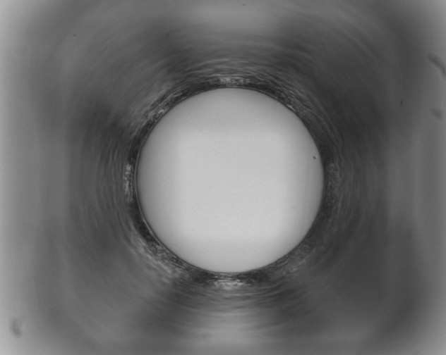 X0000102500650200808080946
