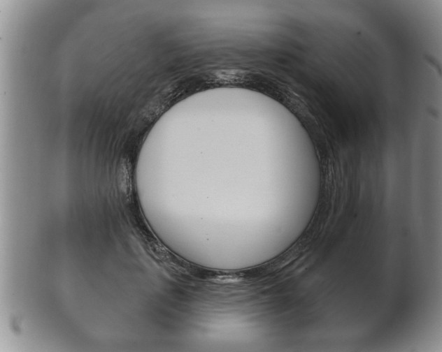 X0000102500651200808080946