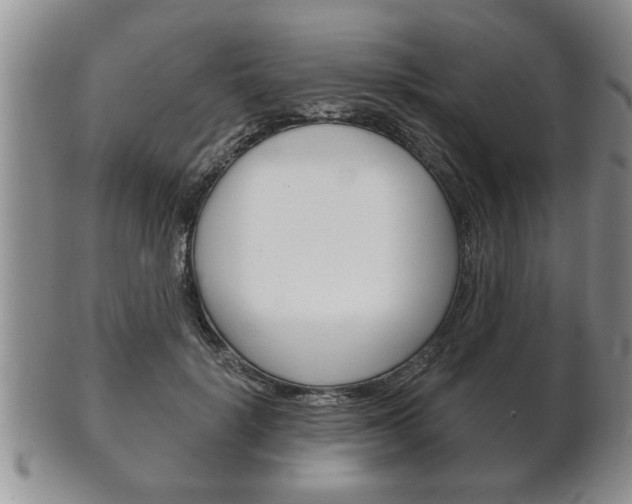 X0000102500652200808080946