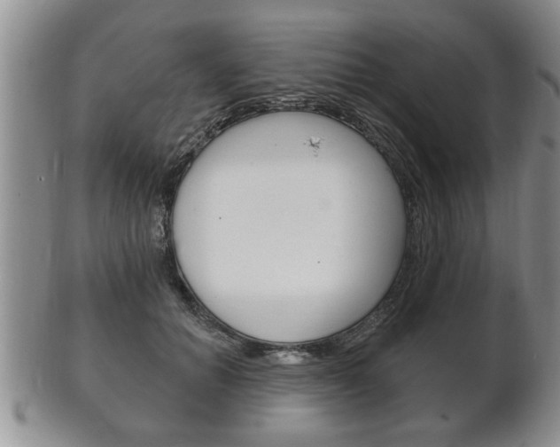 X0000102500654200808080946