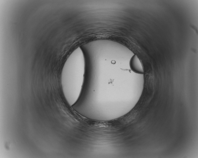 X0000102500655200808080946