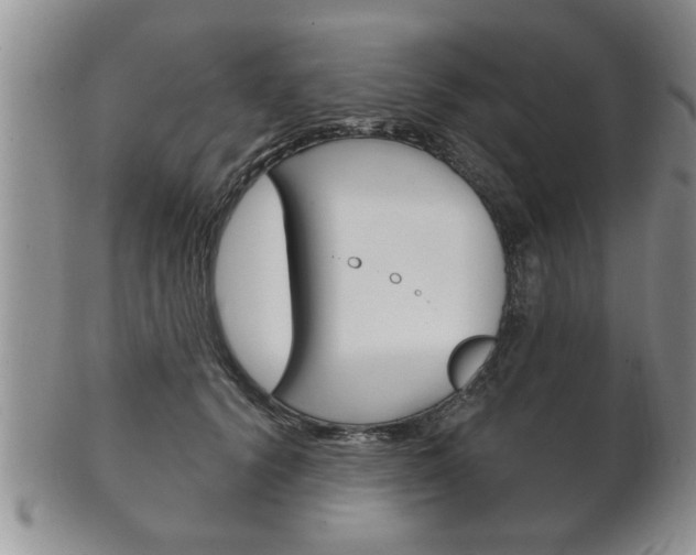 X0000102500656200808080946