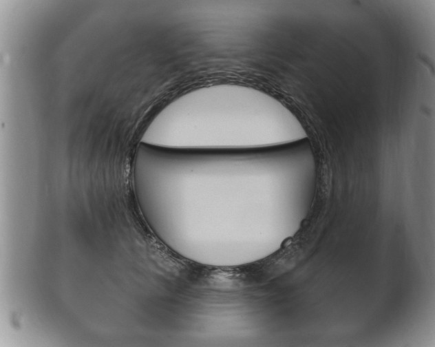 X0000102500657200808080946