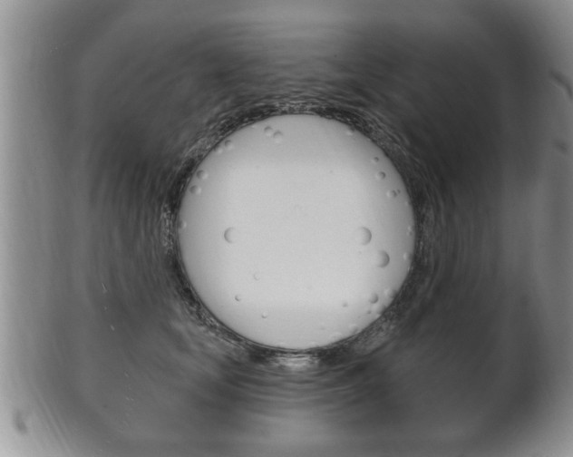 X0000102500659200808080946