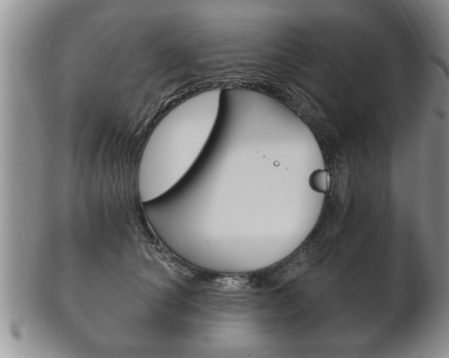 X0000102500660200808080946