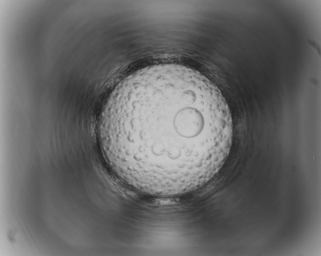X0000102500662200808080946