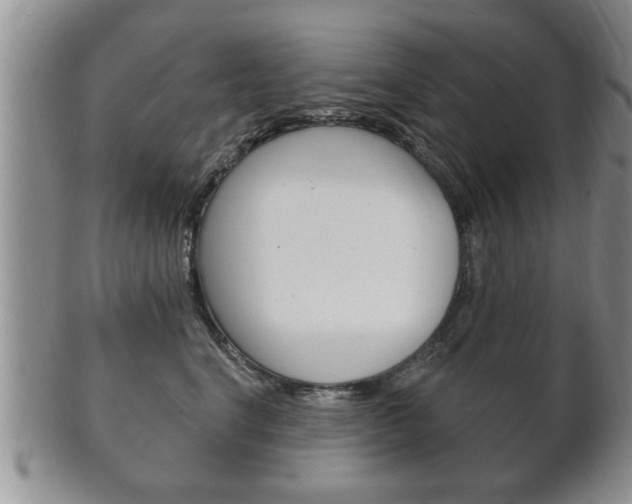 X0000102500664200808080946