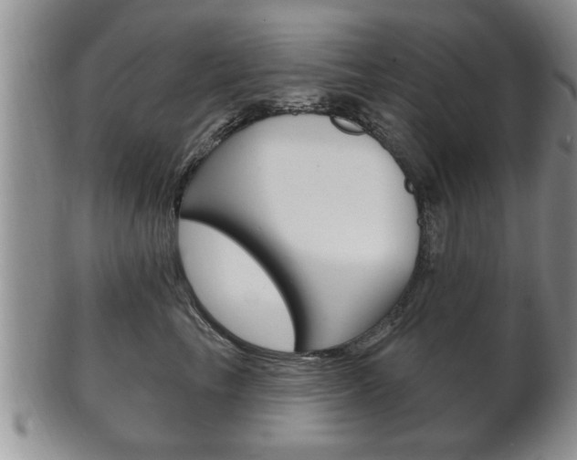 X0000102500665200808080946
