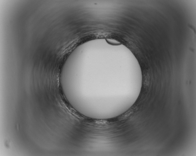 X0000102500666200808080946