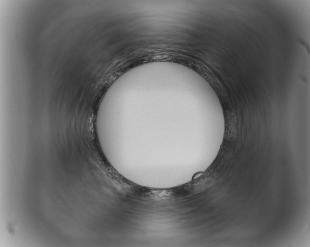 X0000102500667200808080946