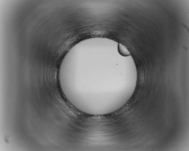 X0000102500668200808080946