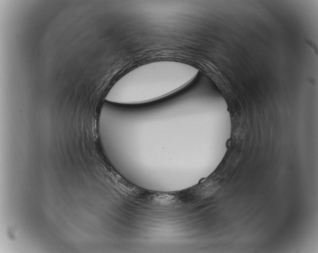 X0000102500669200808080946