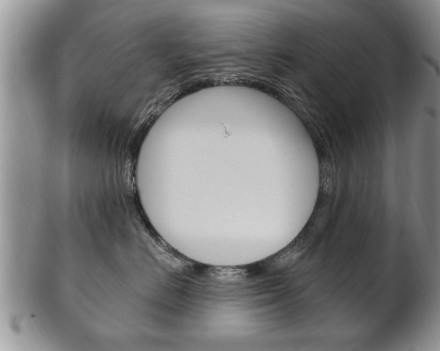 X0000102500670200808080946