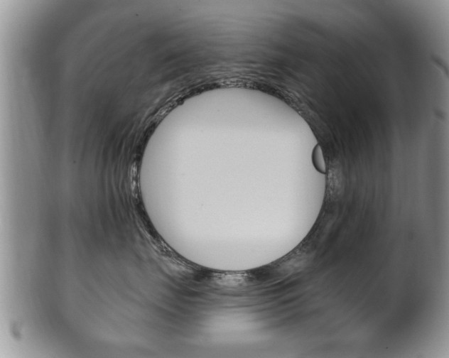 X0000102500671200808080946