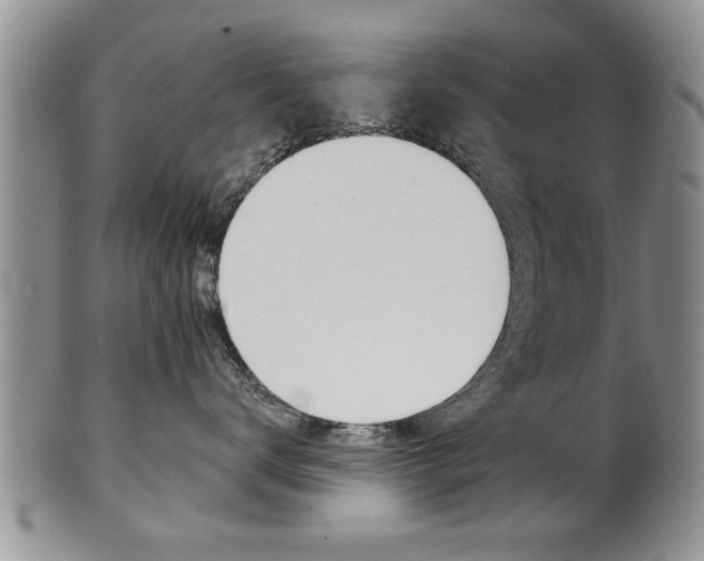X0000102500672200808080946