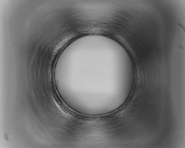 X0000102500674200808080945
