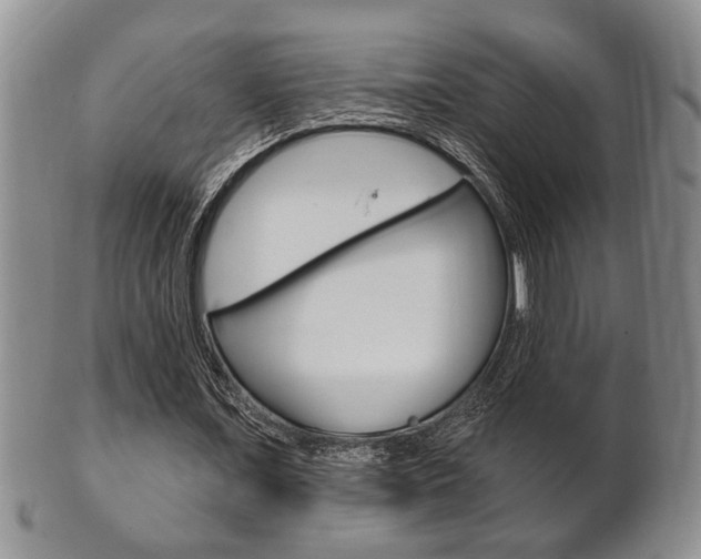 X0000102500675200808080945