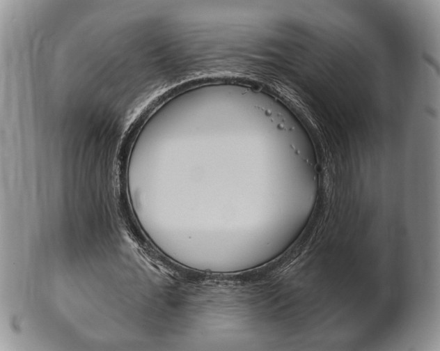 X0000102500676200808080945