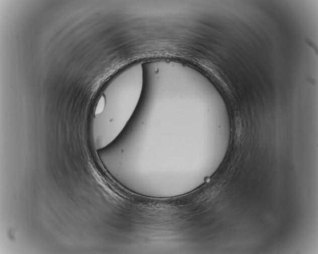 X0000102500677200808080945