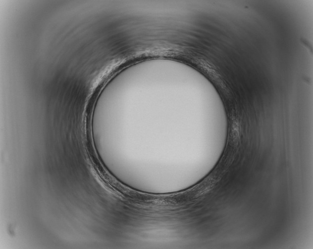 X0000102500678200808080945