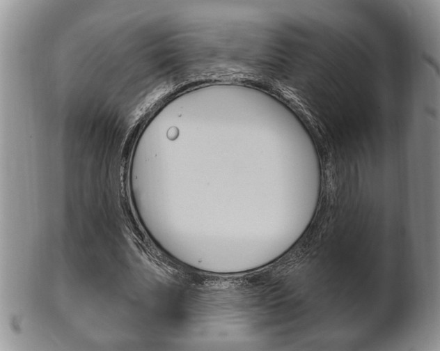 X0000102500679200808080945