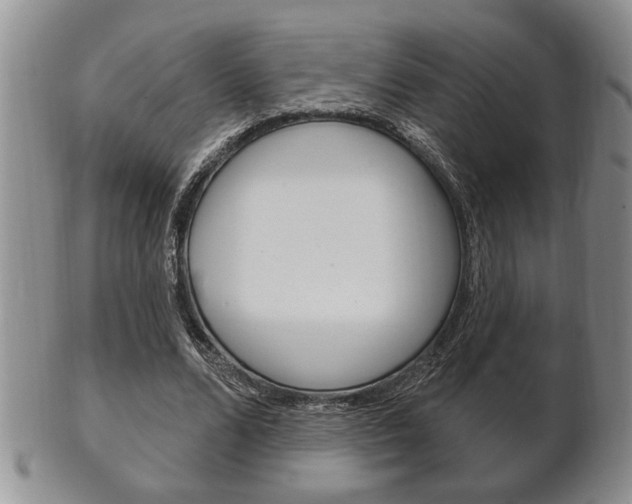 X0000102500680200808080945