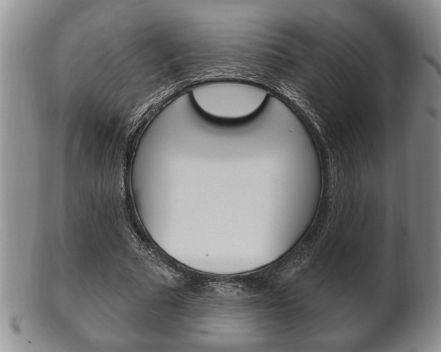 X0000102500681200808080945