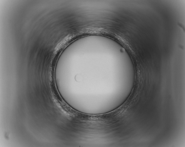 X0000102500682200808080945