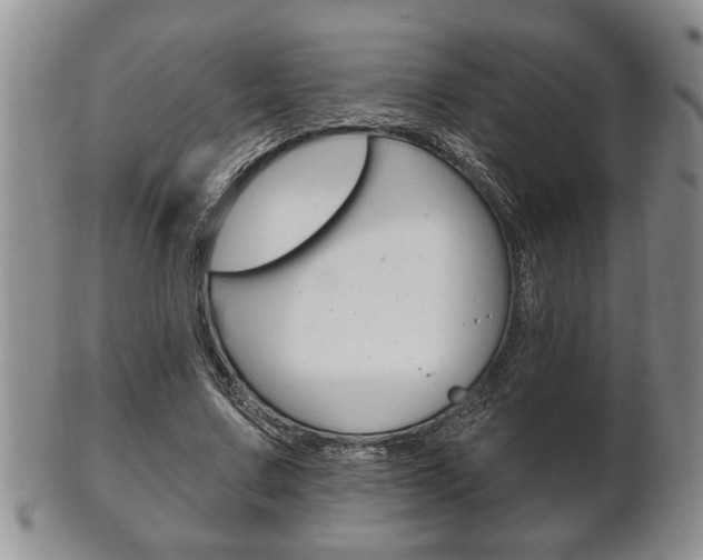 X0000102500683200808080945