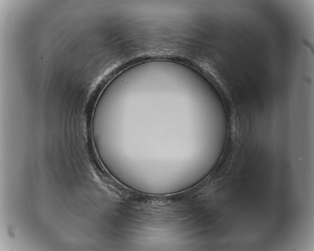 X0000102500684200808080945