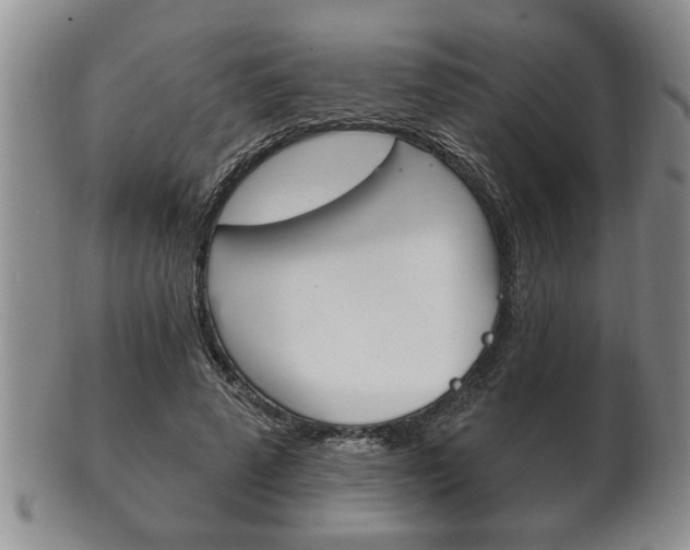 X0000102500689200808080945
