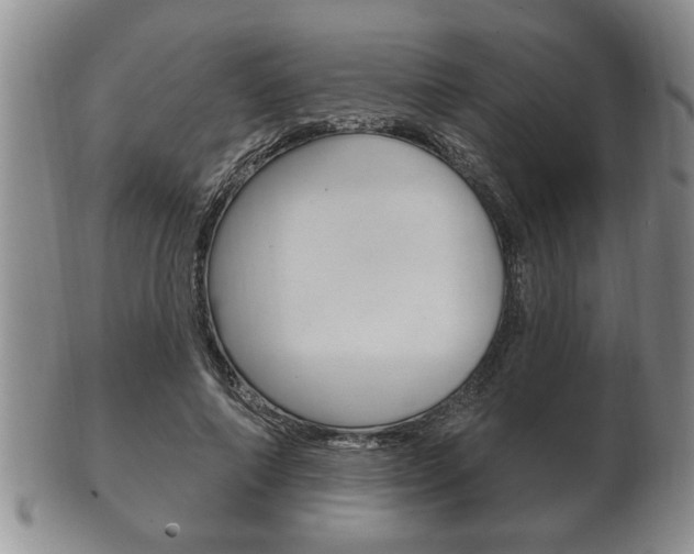 X0000102500690200808080945