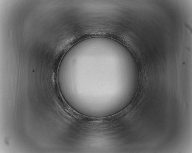 X0000102500692200808080945